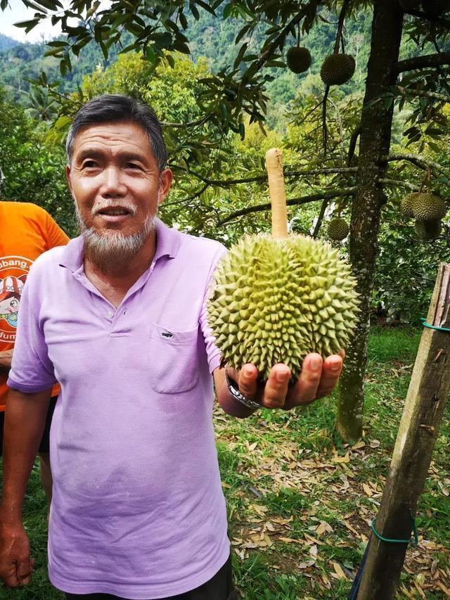 马来西亚队完胜法国队,辛杜带队取胜 马来西亚队完胜法国队,辛杜带队取胜