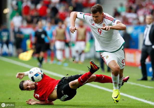 荷兰队在欧洲杯预选赛中遭遇不利局面，球迷心疼