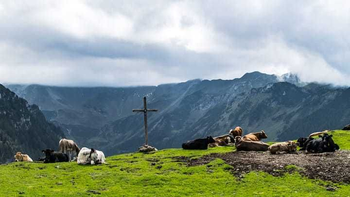 列支敦士登队实现惊艳表现，闯入关键阶段